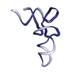 Protein Synthesis Process Imprime: tRNA molecule