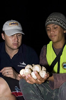 Endangered Sea Turtles Imprime: Turtle conservation