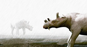 Eocene Epoch Fossils Imprime: Uintatherium