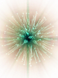 Microbiology Images Imprime: Virus, computer artwork