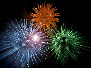 RNA Viruses Imprime: Viruses, computer artwork