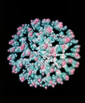 Impresiones de Estructura del quark del núcleo de uranio. Visualización computacional del núcleo de un átomo de uranio. La isótopo más común, el uranio-238, consta de 92 protones y 146 neutrones Imágenes de febrero de 1995: Visualización de la estructura del quark del uranio.