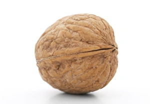 Walnut Tree Imprime: Walnut