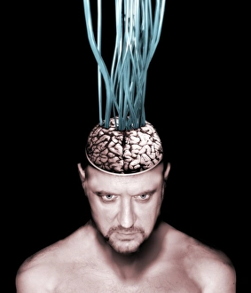 Future Technology Illustration Imprime: Wired brain