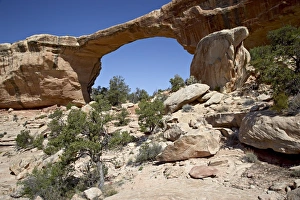 Natural Bridges National Monument Imprime: 27138_work