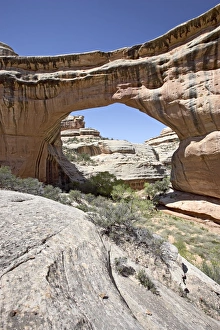 Rugged Rocky Terrain Imprime: 27142_work