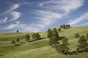Rolling Hills Scenery Imprime: 27723_work