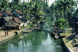 Kerala Backwaters Imprime: The backwaters