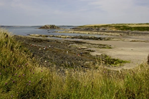 Welsh Beaches Imprime: The beach at West Angle