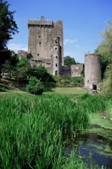 Impresiones de Castillo de Blarney, Condado de Cork, Munster, Irlanda (República de Irlanda), Europa República De Irlanda Imprime: Castillo de Blarney