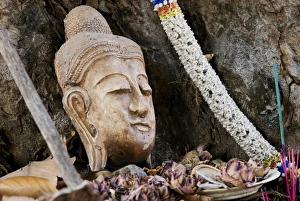 Buddhist Statue In Nature Imprime: Buddhist head placed at tree base, Chiang Mai, Thailand, Southeast Asia, Asia