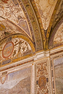 Tuscany European Landmarks Imprime: Ceiling detail