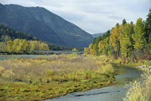 Rocky Mountains Photography Imprime: The Clark Fork River in the fall