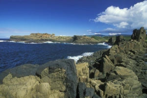 Coastal Basalt Columns Imprime: Columnar structures, created during cooling of basalt lava
