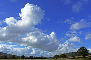 UK Countryside Scenes Imprime: Cornfields, Exe Valley, Devon, England, United Kingdom, Europe