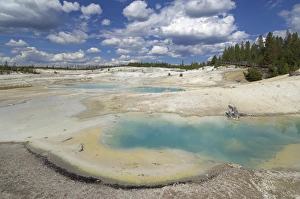 Norris Geyser Basin Imprime: D2x070604249