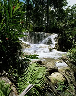 Impresiones de Caídas del Río Dunns, Jamaica, Indias Occidentales Caribe América central Jamaica Imprime: Caídas del Río Dunns