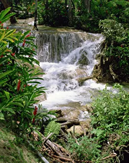 Impresiones de Caídas del río Dunns en Ocho Rios Jamaica Antillas Occidentales América Central Jamaica Imprime: Cascada Dunns River