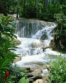 Impresiones de Caídas del río Dunns en Ocho Rios, Jamaica y las Indias Occidentales Jamaica Imprime: Caídas del Río Dunns