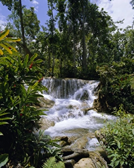 Impresiones de Caídas del Río Dunns en Jamaica Caribe Indie Occidental América central Jamaica Imprime: Caídas del río Dunns