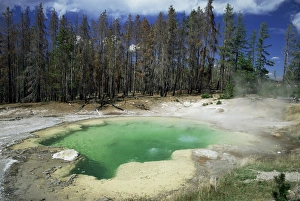 Natural Hot Springs USA Imprime: Emerald Spring