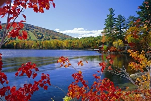 New England Landscape Photography Imprime: Fall colours