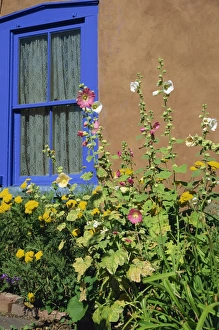 Vertical Landscape Images Imprime: Flower bed and window