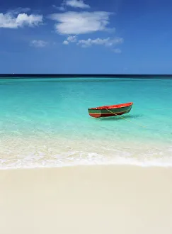 Caribbean Coastline Imprime: Gran Anse Beach
