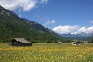 Austrian Countryside Images Imprime: High summer pasture, Sonnenterrase area, Austria, Europe