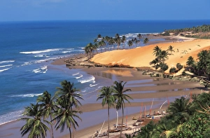 Brazilian Coastline Imprime: image_33