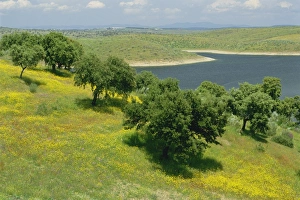 Extremadura Landscape Imprime: Landscape of fields