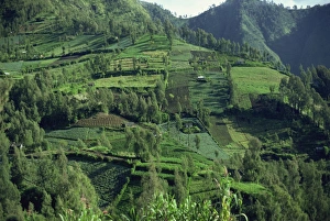 Indonesia Landscape Photography Imprime: Landscape in Mount Bromo region, Java, Indonesia, Southeast Asia, Asia