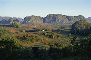 Cuba UNESCO World Heritage Site Imprime: Landscape view of fields and trees in valley, with hills beyond, Vinales Valley