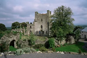 Impresiones de Castillo Salto, cerca de Birr, Condado de Ofalaí , Leinster , Irlanda República. Europa República De Irlanda Imprime: Castillo Salto
