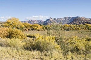 Colorful Landscape Images Imprime: _LEF4769