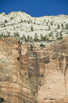 Blue Sky Canyon View Imprime: _LEF4803