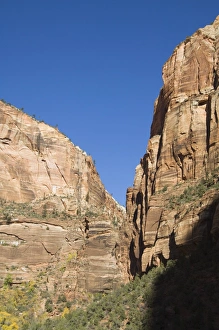 Vertical Landscape Images Imprime: _LEF4865