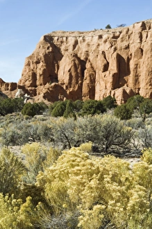 Vertical Landscape Photography Tips Imprime: _LEF5189