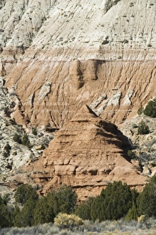 Natural World Scenic Views Imprime: _LEF5203