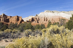 North America Wilderness Scenes Imprime: _LEF5212