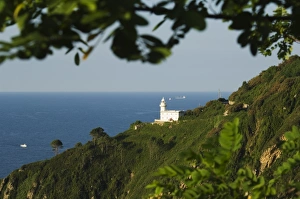 European Lighthouse Imprime: Lighthouse on cliff