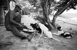 Impresiones de Hombre preparando desayuno observado por perros y gato en Medina de Venezuela América del Sur Venezuela Imprime: Hombre preparando desayuno