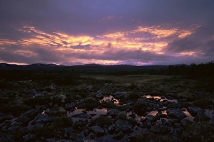Sunset In Norway Imprime: Marsh at sunset