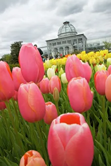 Virginia Travel Destinations Imprime: mcs0121