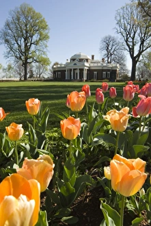 Thomas Jefferson House Imprime: mcs0131