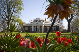 Virginia Travel Destinations Imprime: mcs0132