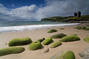 Irish Coastline Imprime: Minnard Beach