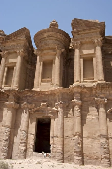 Petra Monastery Imprime: The Monastery and donkey
