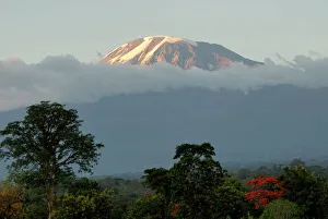 Monte Kili-man-jaró Patrimonio de la Humanidad por la UNESCO en Tánzania África Oriental
