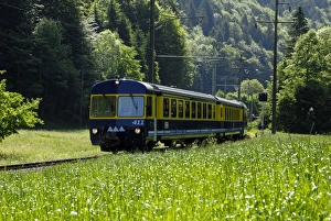 Rural Switzerland Landscape Imprime: Mountain train